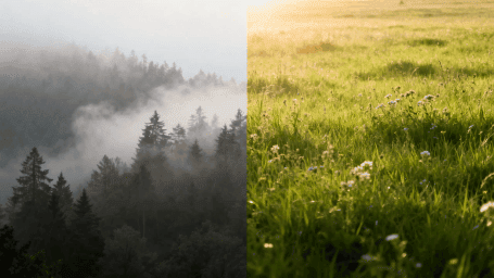 I Quit Porn for 365 Days – Here’s What Changed (Honest Results)